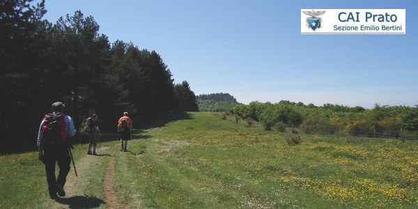 copertina cai prato pratosfera episodio 0