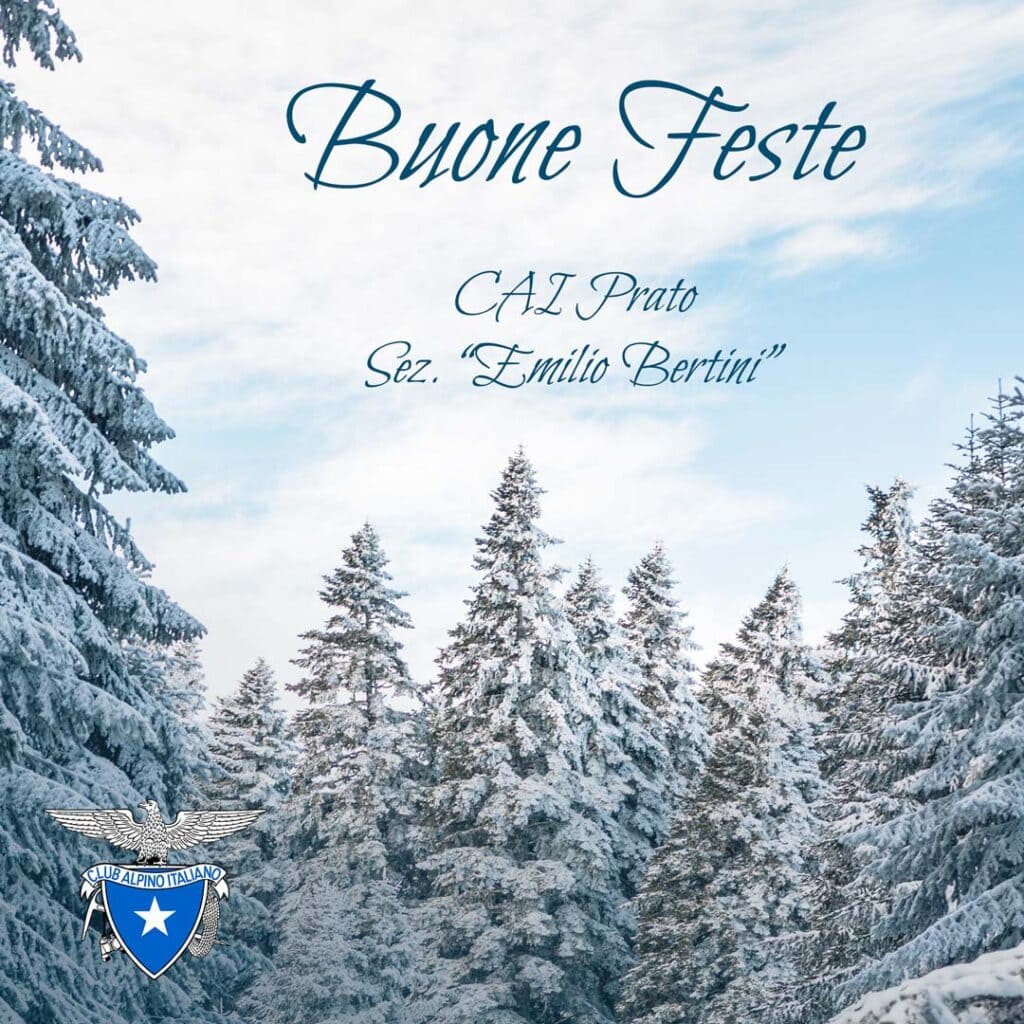 auguri feste natale 2020