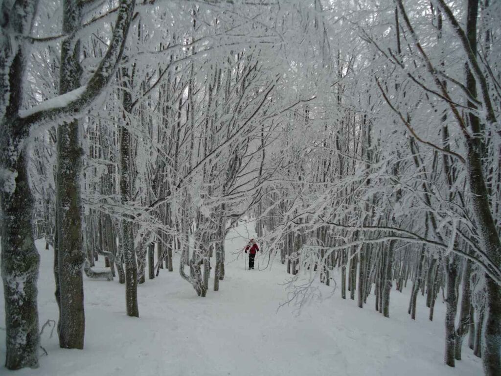 Ambiente innevato