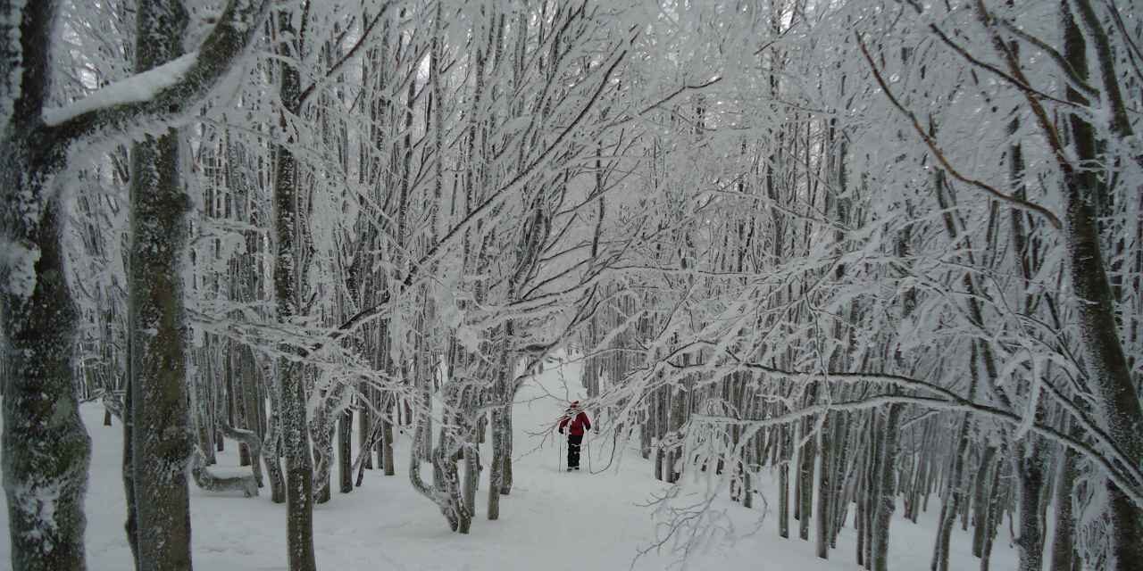 Ambiente innevato