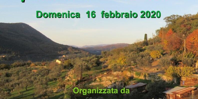 Locandina Giornata Verde - 200216