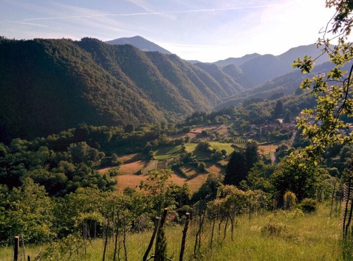 Il borgo di Castello visto dalla sua Chiesa