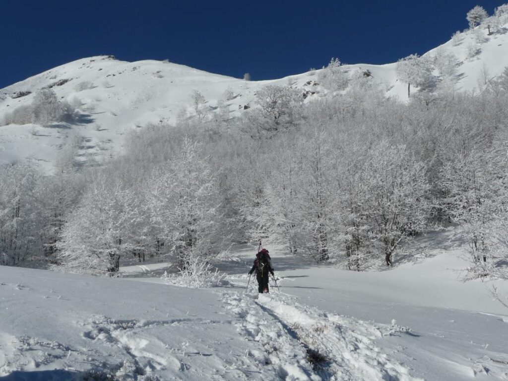 Ciaspolata ai Taburri di Fellicarolo