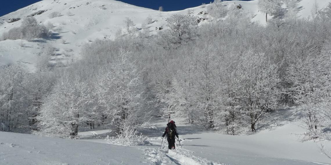 Ciaspolata ai Taburri di Fellicarolo