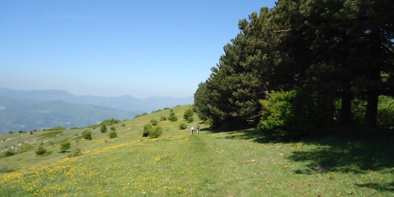 Poggio dei Mandrioni Calvana