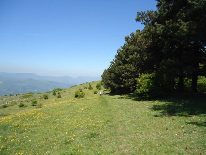 Poggio dei Mandrioni Calvana