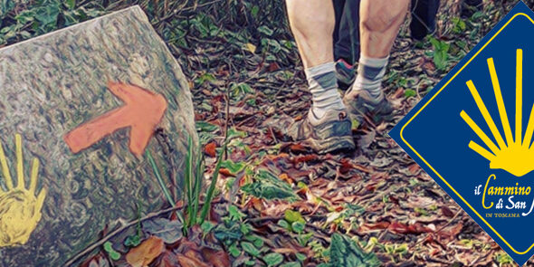 Banner Cammino San Jacopo