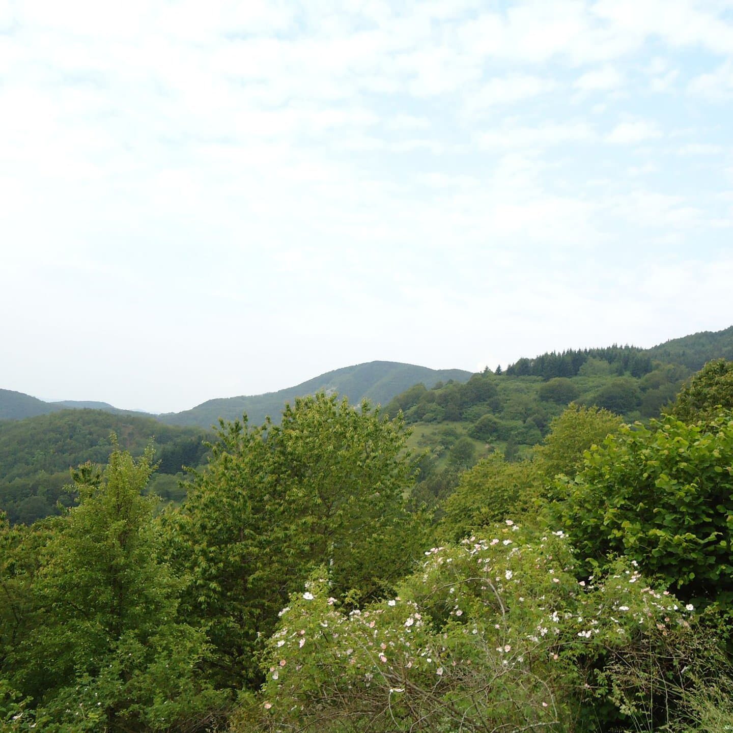 Alpe di Cavarzano