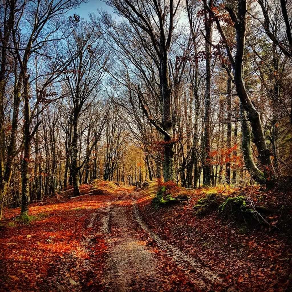 Appennino Pratese