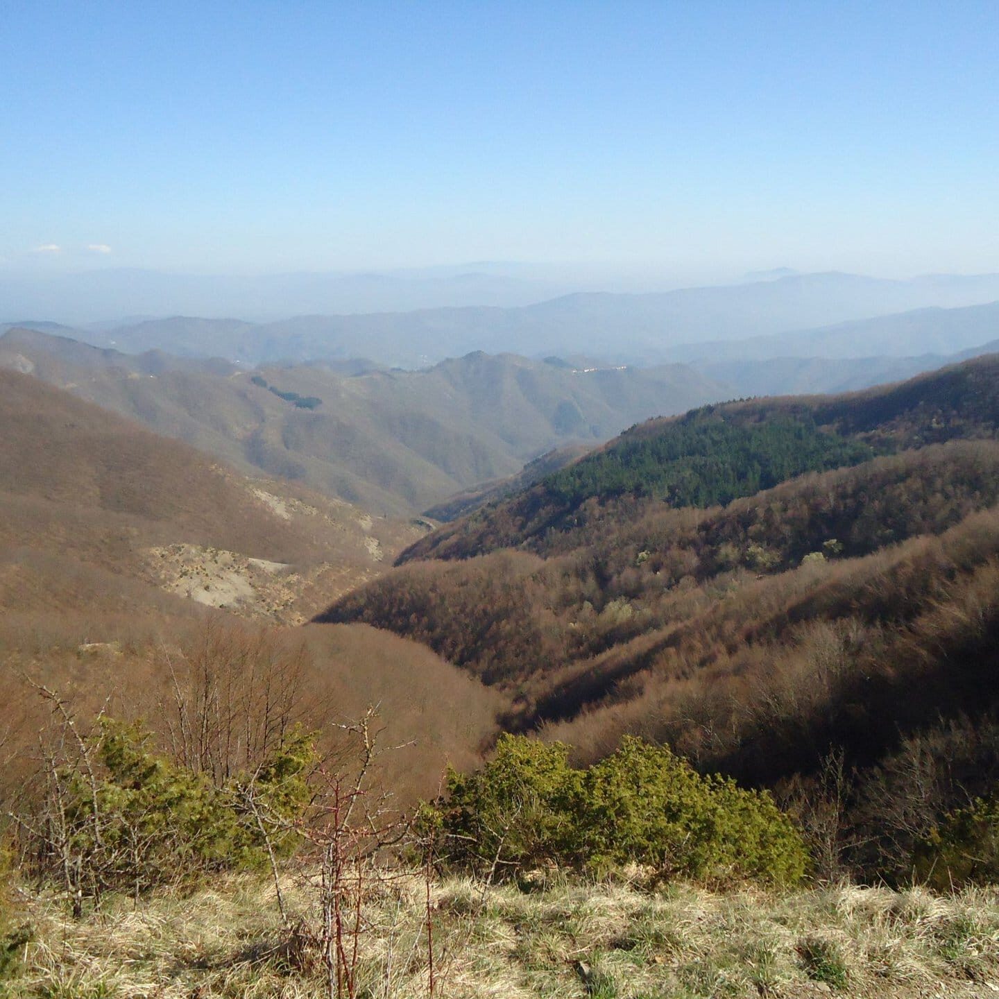 Da Poggio Cattarelle verso la Valbisenzio 2