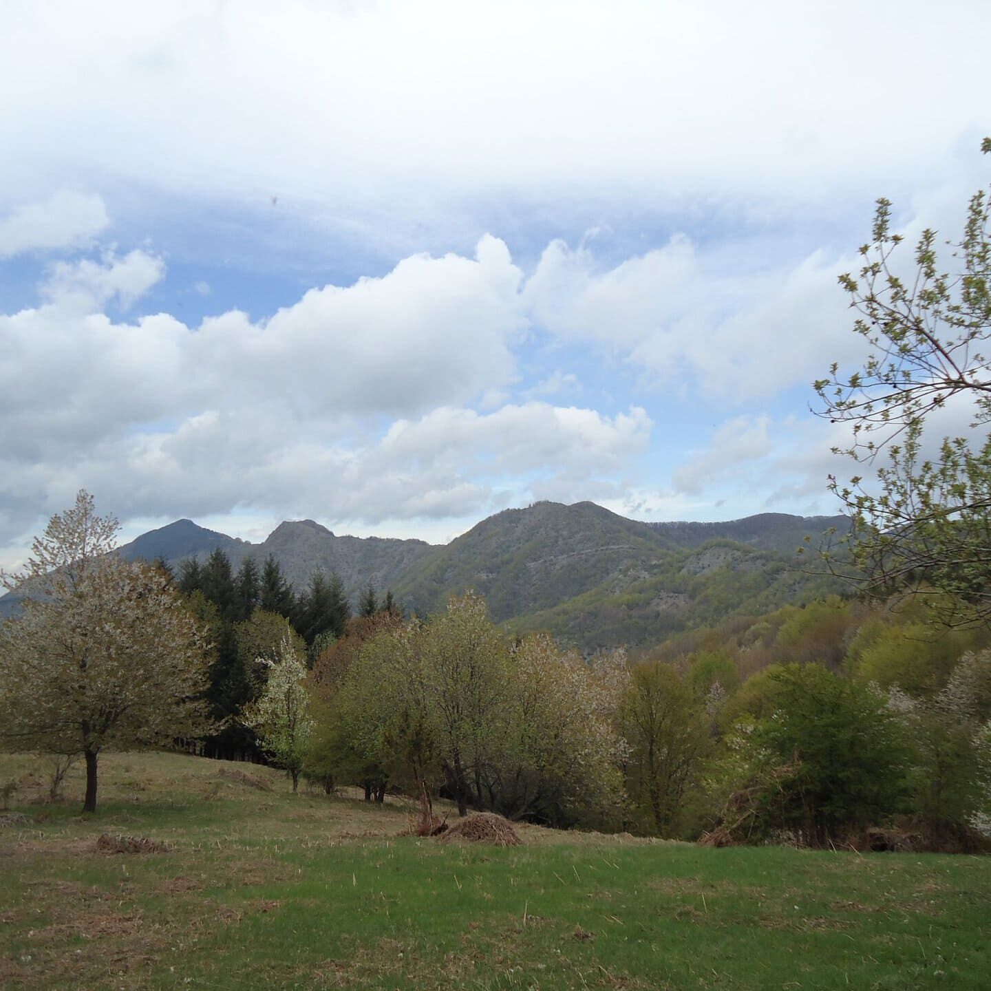 Monte delle Scalette e Monte Calvi