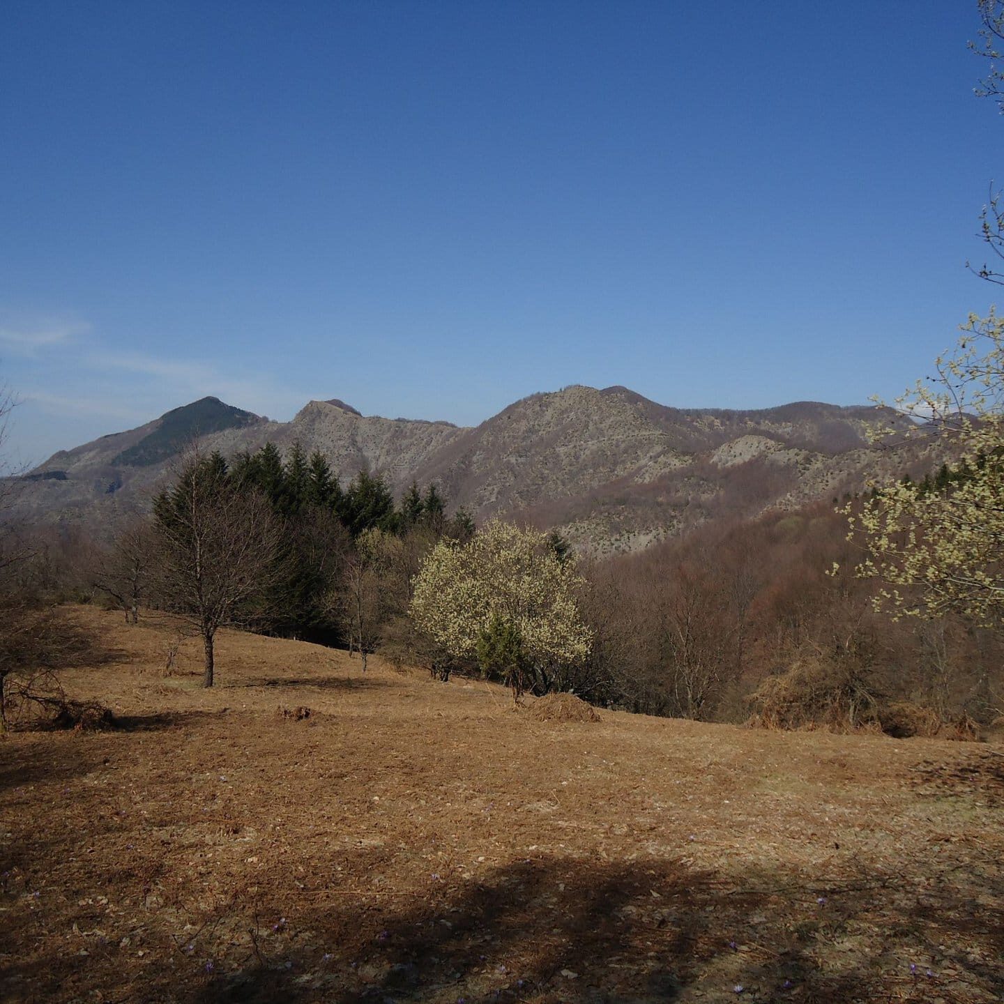 Monte delle Scalette e Monte Calvi 2