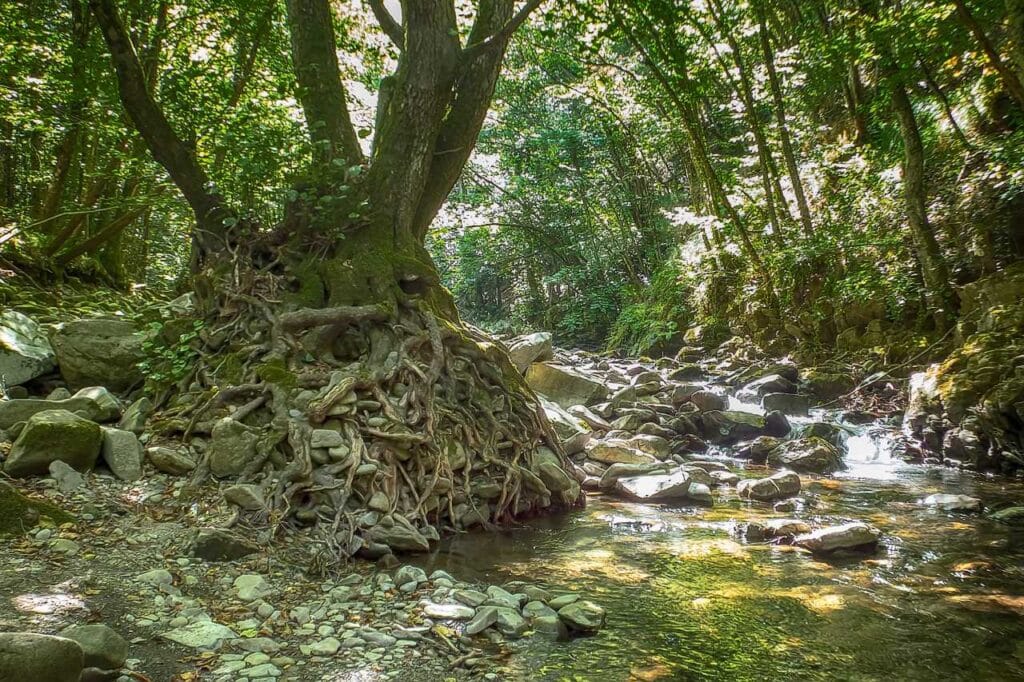 Sentieri appennino pratese e loro cura 01