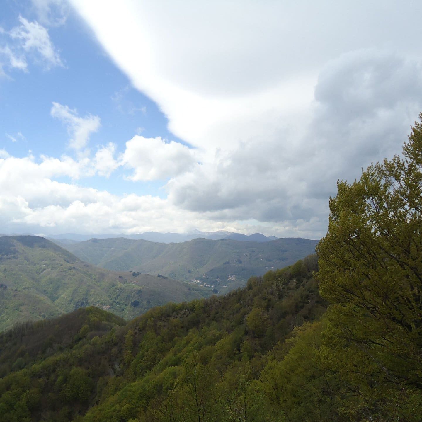 Vista dal sentiero 00 prima delle Scalette