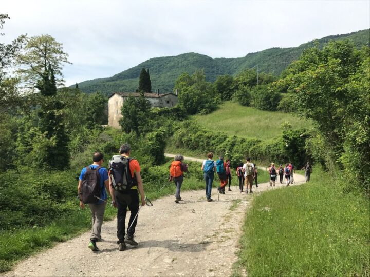 Calvana dal Mugello