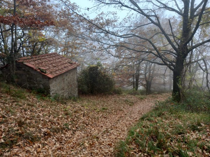 Escursione Valbisenzio