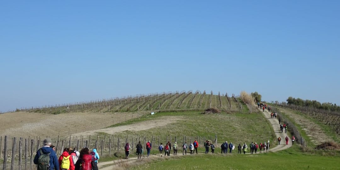 Intersezionale Crete Senesi