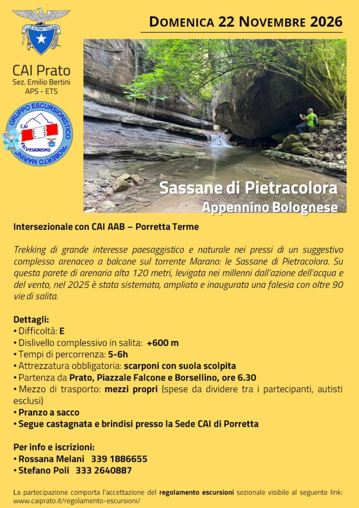 261122-Sassane-Pietracolora