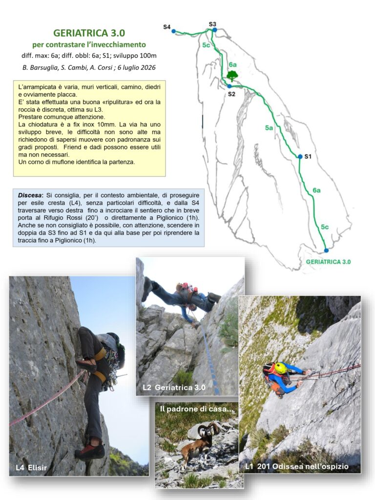 Relazione-I-Tre-Pilastri-3